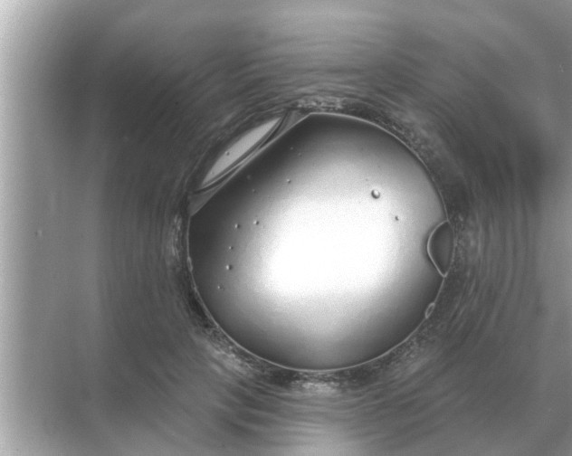 X0000070880649200606302139