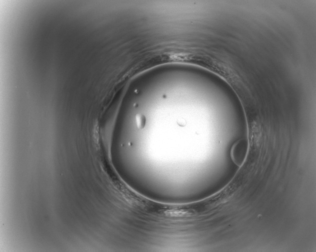 X0000070880650200606302139