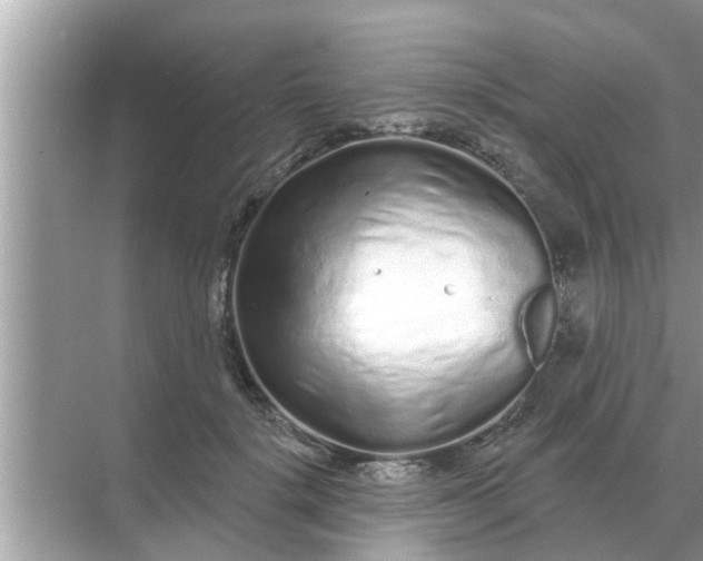 X0000070880652200606302139