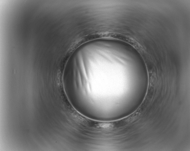 X0000070880659200606302139