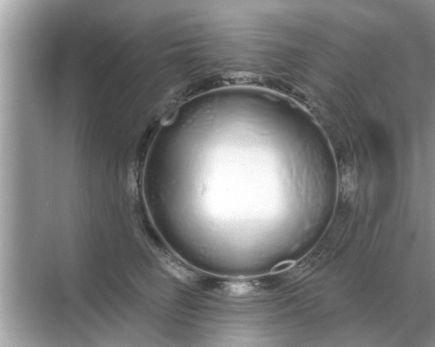 X0000070880662200606302139