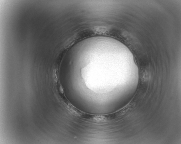 X0000070880666200606302139