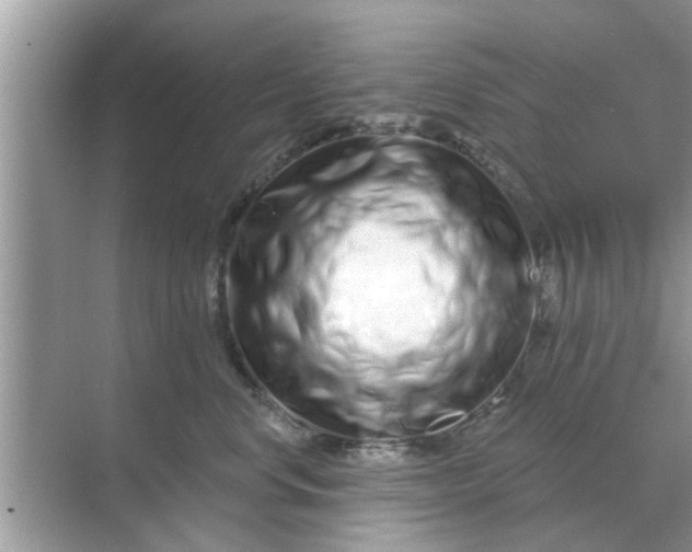 X0000070880668200606302139