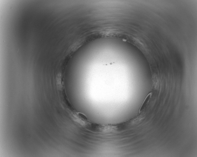 X0000070880670200606302139