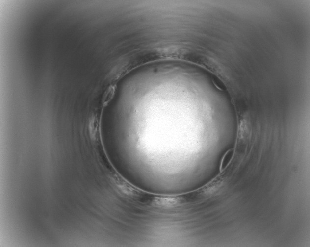 X0000070880671200606302139