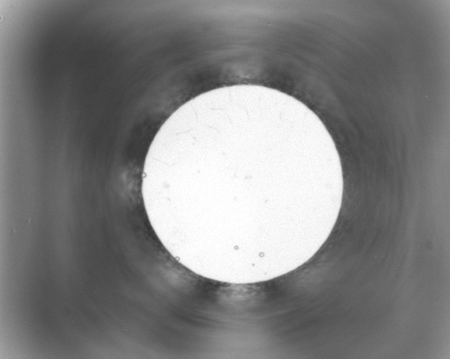 X0000070880672200606302139