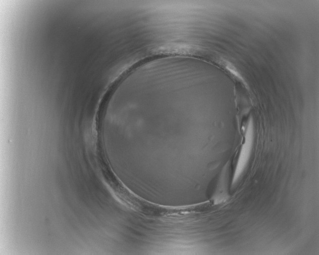 X0000070880674200606302138