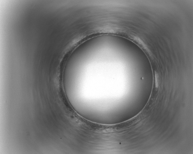 X0000070880675200606302138