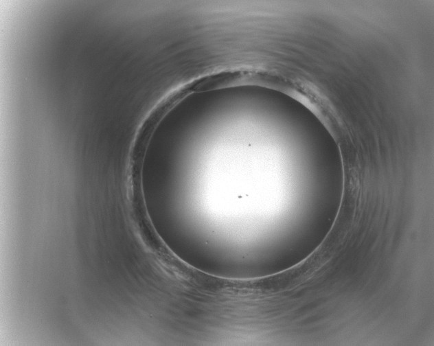 X0000070880676200606302138