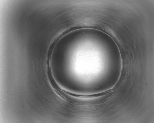 X0000070880677200606302138