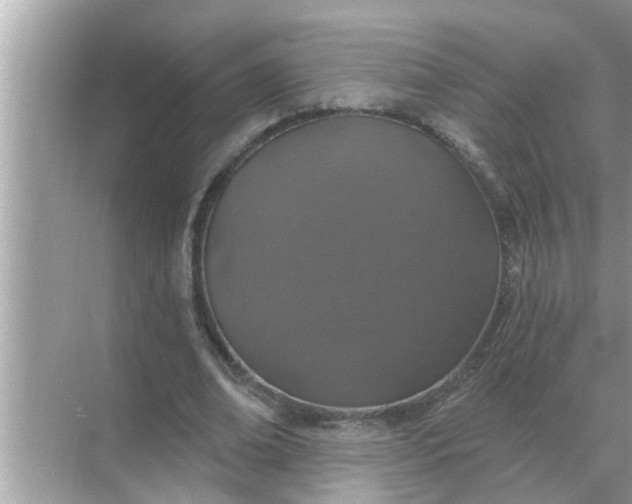 X0000070880678200606302138