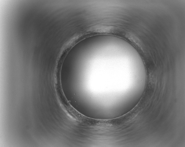 X0000070880682200606302138