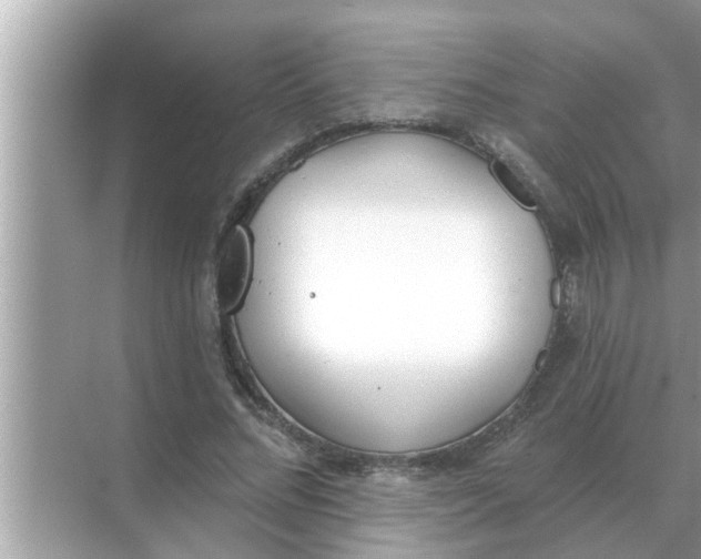 X0000070880684200606302138