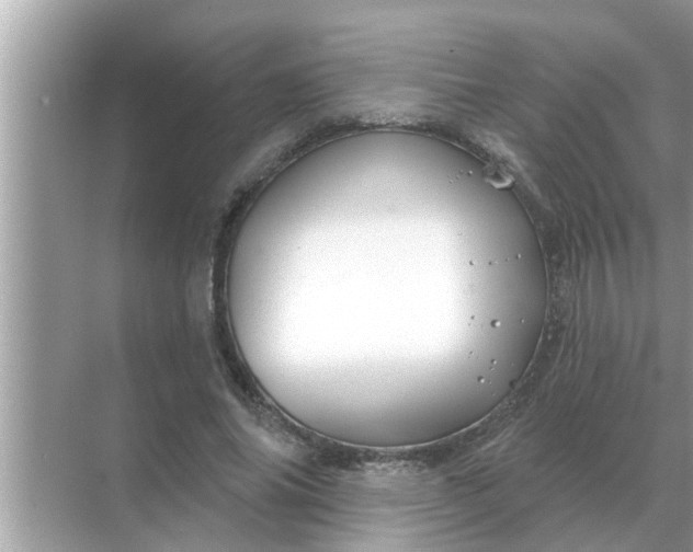 X0000070880686200606302138