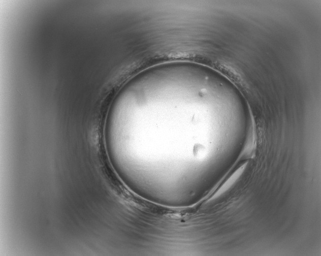 X0000070880687200606302138