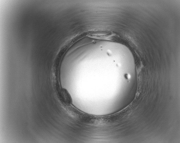 X0000070880688200606302138