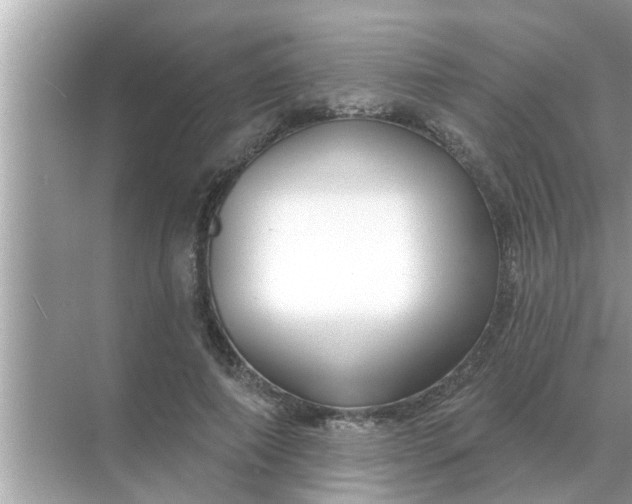 X0000070880690200606302138