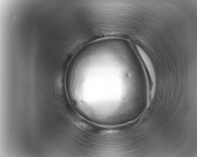 X0000070880691200606302138