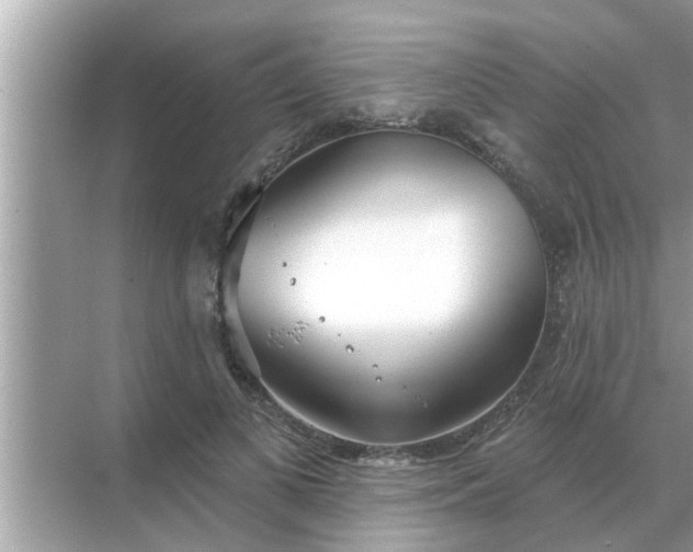 X0000070880693200606302138