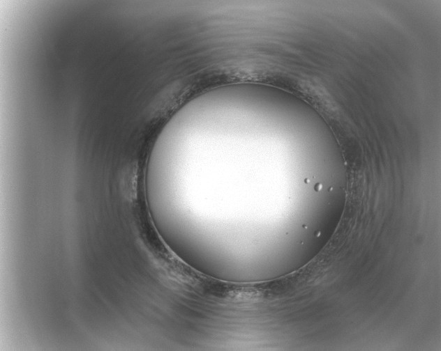 X0000070880694200606302138