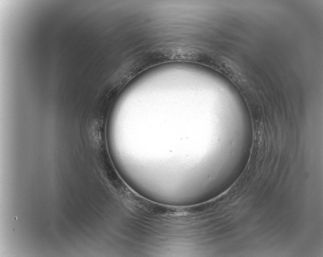 X0000070880695200606302138