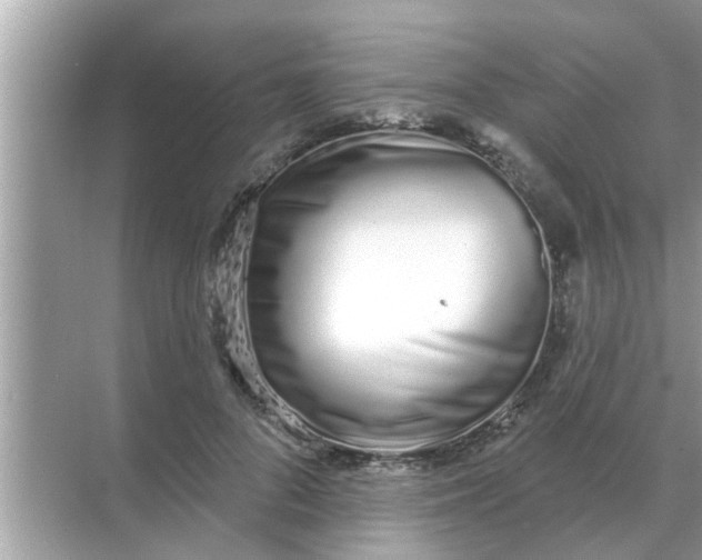 X0000070880696200606302138