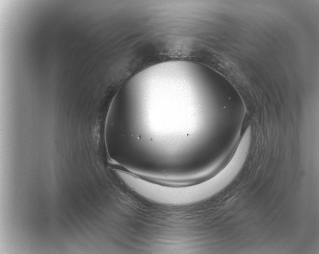 X0000070880697200606302138