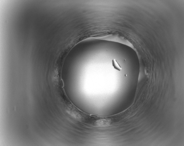 X0000070880700200606302138