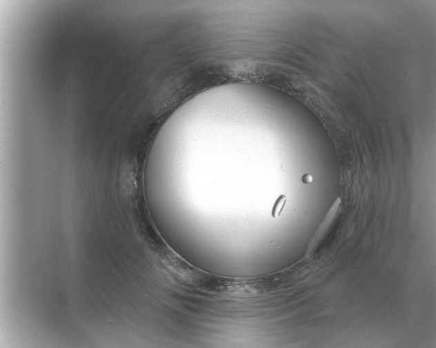 X0000070880702200606302138