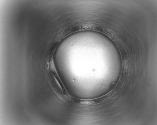 X0000070880703200606302138