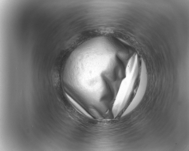 X0000070880704200606302138