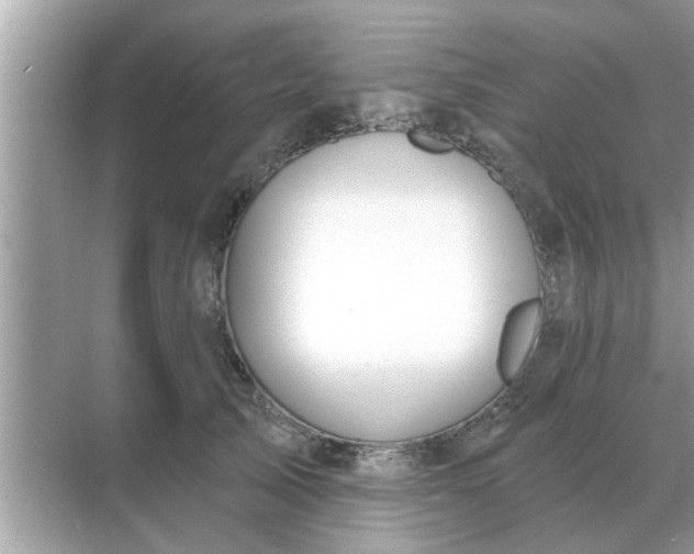 X0000070880705200606302138