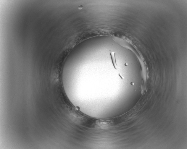 X0000070880706200606302138