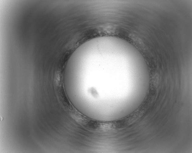 X0000070880709200606302137