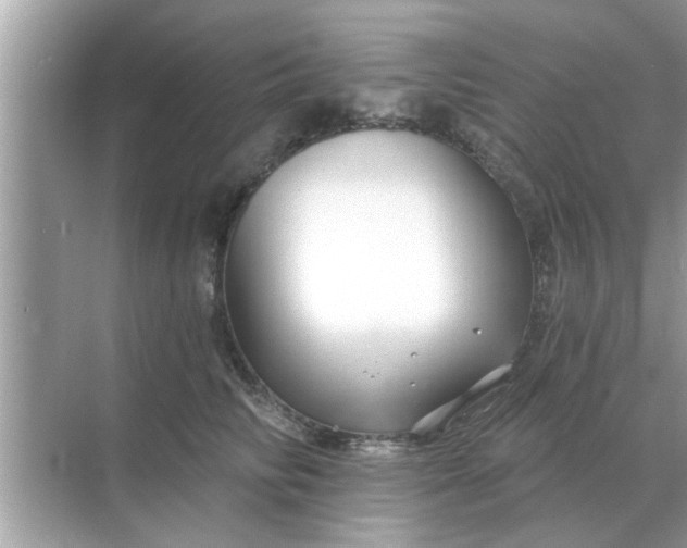 X0000070880710200606302137