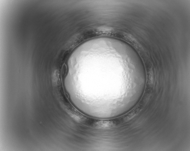 X0000070880711200606302137