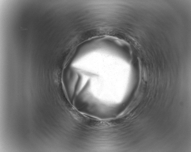 X0000070880712200606302137