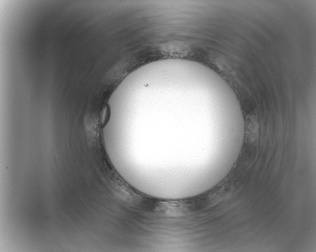 X0000070880713200606302137