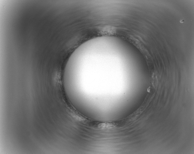 X0000070880714200606302137