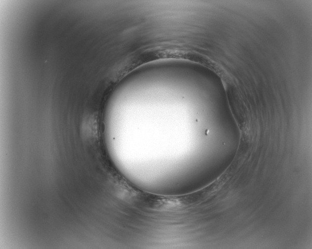 X0000070880715200606302137