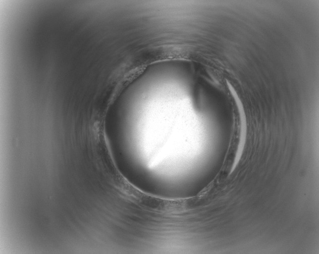 X0000070880716200606302137