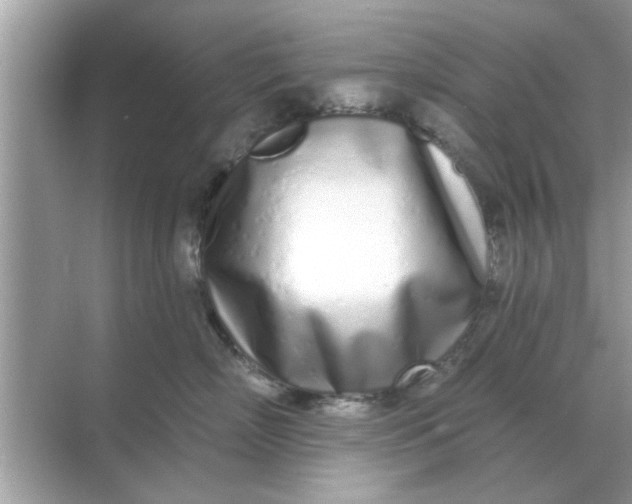 X0000070880718200606302137