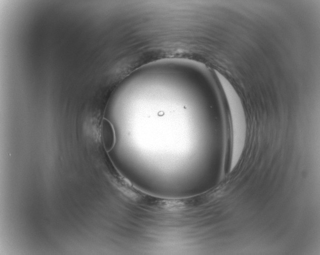 X0000070880719200606302137