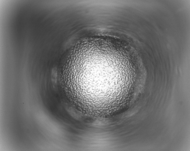 X0000070880720200606302137