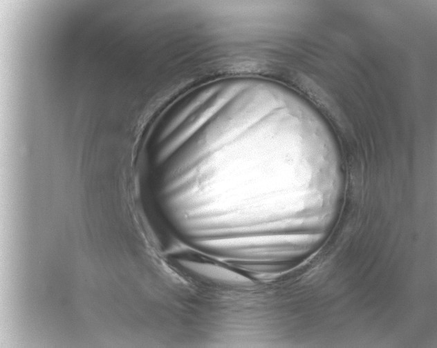 X0000070880721200606302137