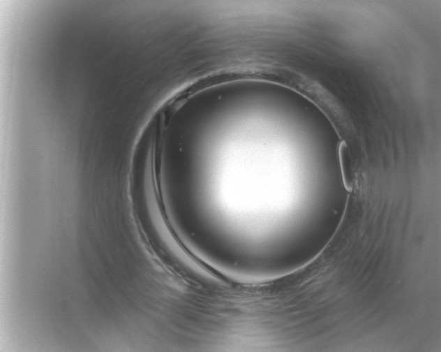 X0000070880724200606302137