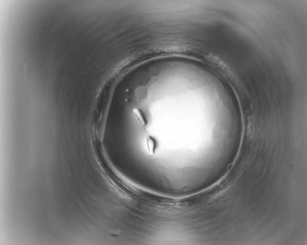 X0000070880725200606302137