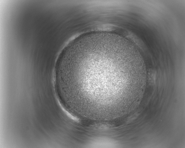 X0000070880726200606302137