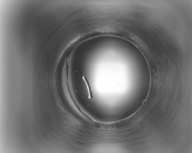 X0000070880727200606302137