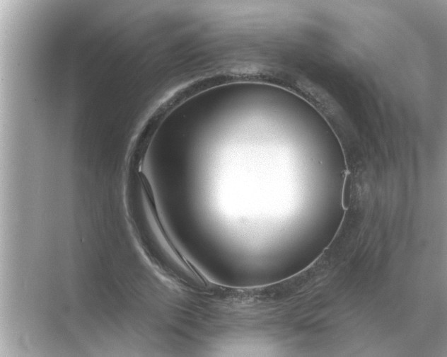 X0000070880728200606302137